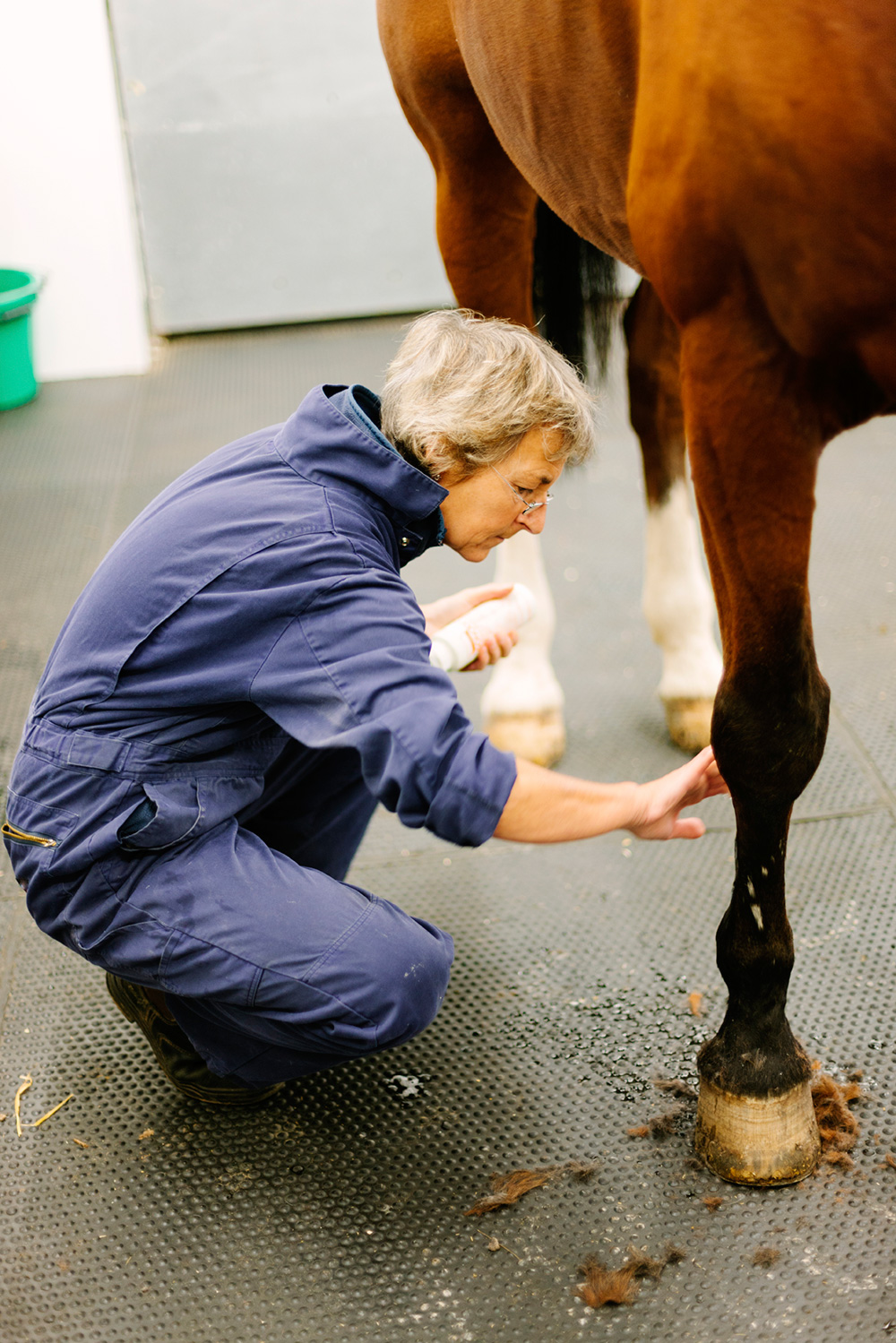 treating injured horse using hymed products